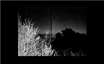 All About Zines: December Issue