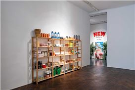 Galerie Hubert Winter Presents an Exhibition of Works by Guillaume Bijl
