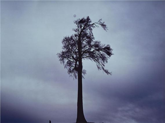 A Little Person, 2002 by Cherine Fahd, 2002