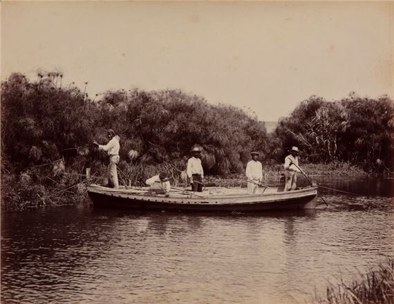 Siracusa - Fiume Anapo e raccolta dei papiri , 1870s by Giacomo Brogi, 1870s