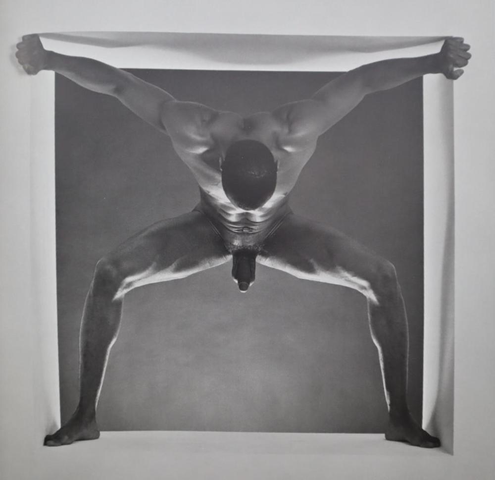 Robert Mapplethorpe | 1986 (1988) | MutualArt