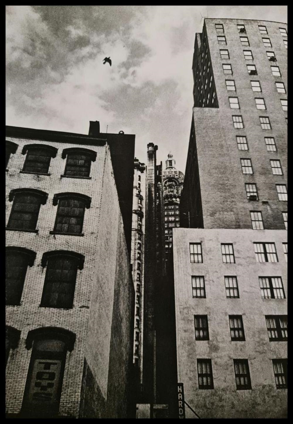 andr-kert-sz-bird-flying-over-buildings-1963-mutualart