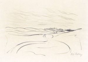 Táj gémeskutakkal - István Huber