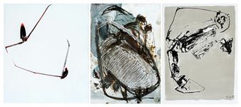 Konvolut von drei Insektenbildern - Peter Pohl