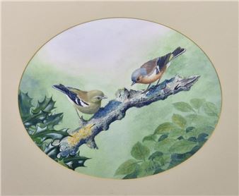 Study of a pair of Chaffinches - T. M. Robilliard