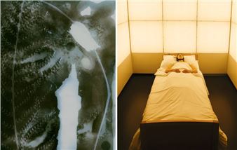 The Contemporary Photographers Making Collaboration An Art Form