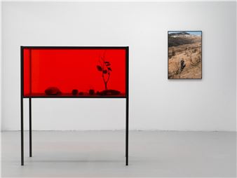 Nona Inescu: Ecuator Nocturn - Catinca Tabacaru Gallery, Bucharest