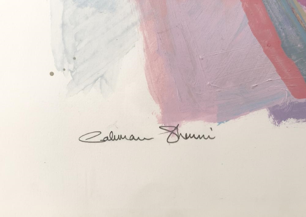 Calman Shemi | Corrugation (2024) | MutualArt