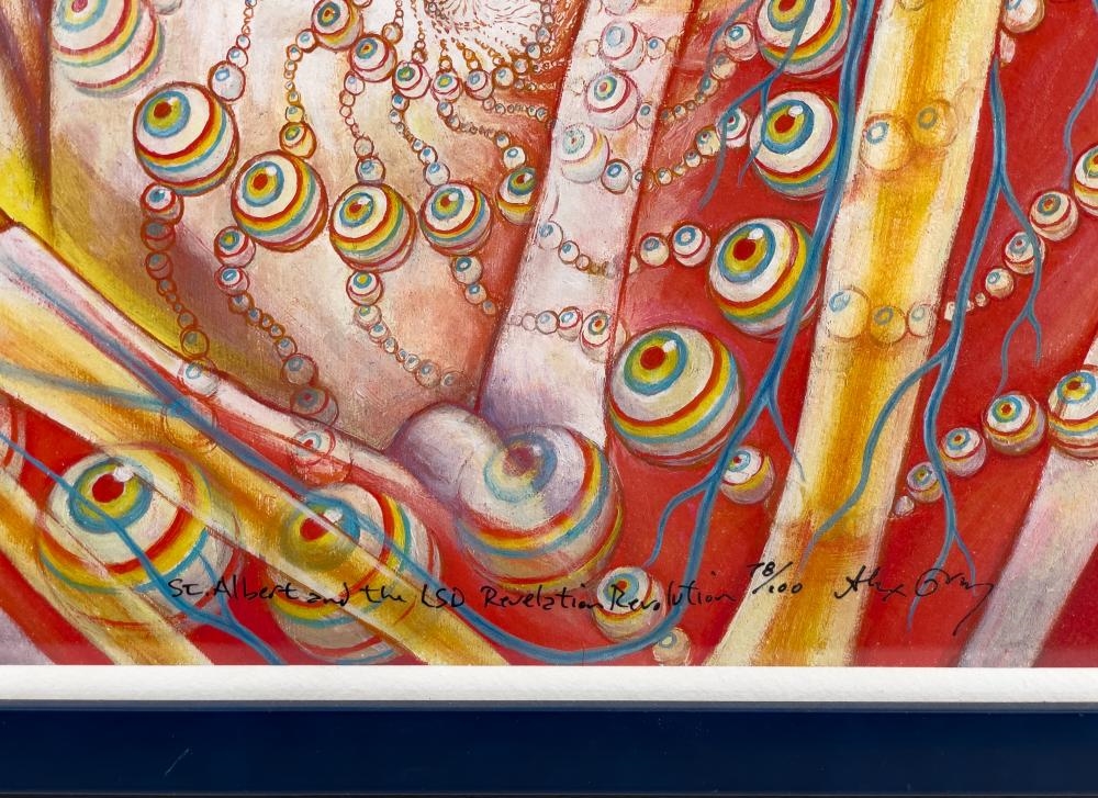 Alex Grey | St. Albert And The LSD Revelation Revolution | MutualArt