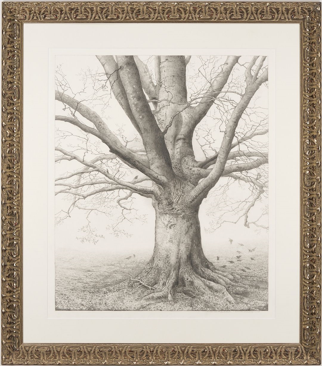 Charles Brindley | Charles Brindley Tree Portrait, Beech Tree at ...