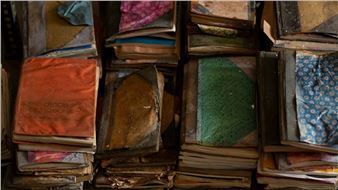 Shubigi Rao: Pulp I–IV