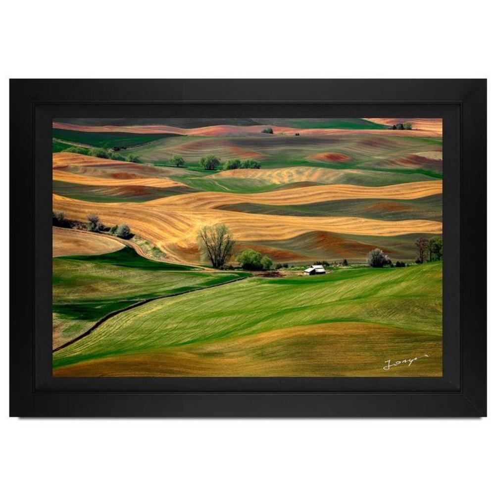 Minted Pastoral Calm Limited Edition Framed Photograph