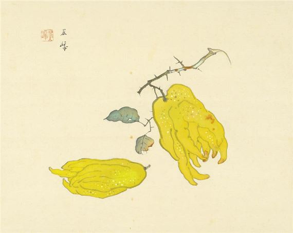 Fingered citron by Suisho Nishiyama