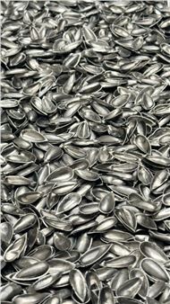 Vladimir Kopeikin: Attempt to Fill - Triumph Gallery