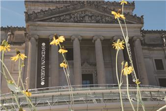 Field Notes: Redefining Americana