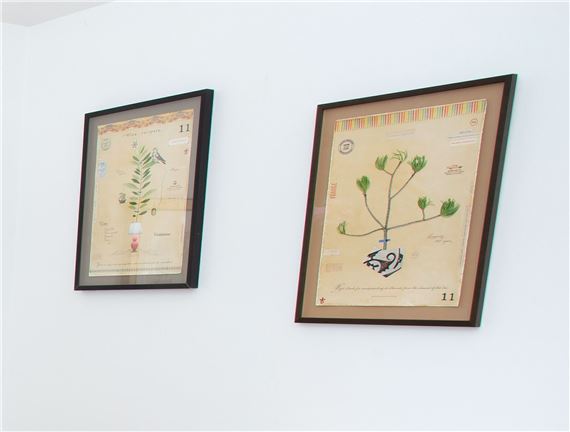Maryfran Cardamone | Botanical | MutualArt