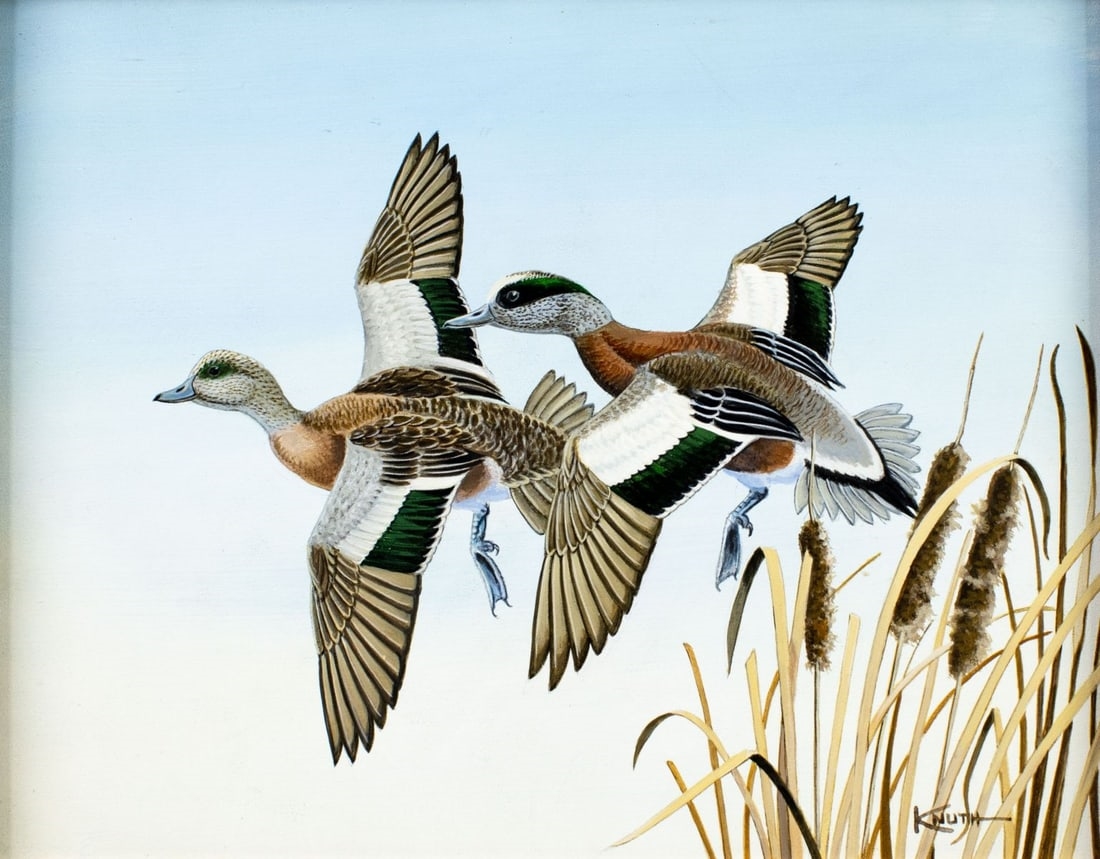 Carl Knuth | Flying Widgeons Ducks | MutualArt
