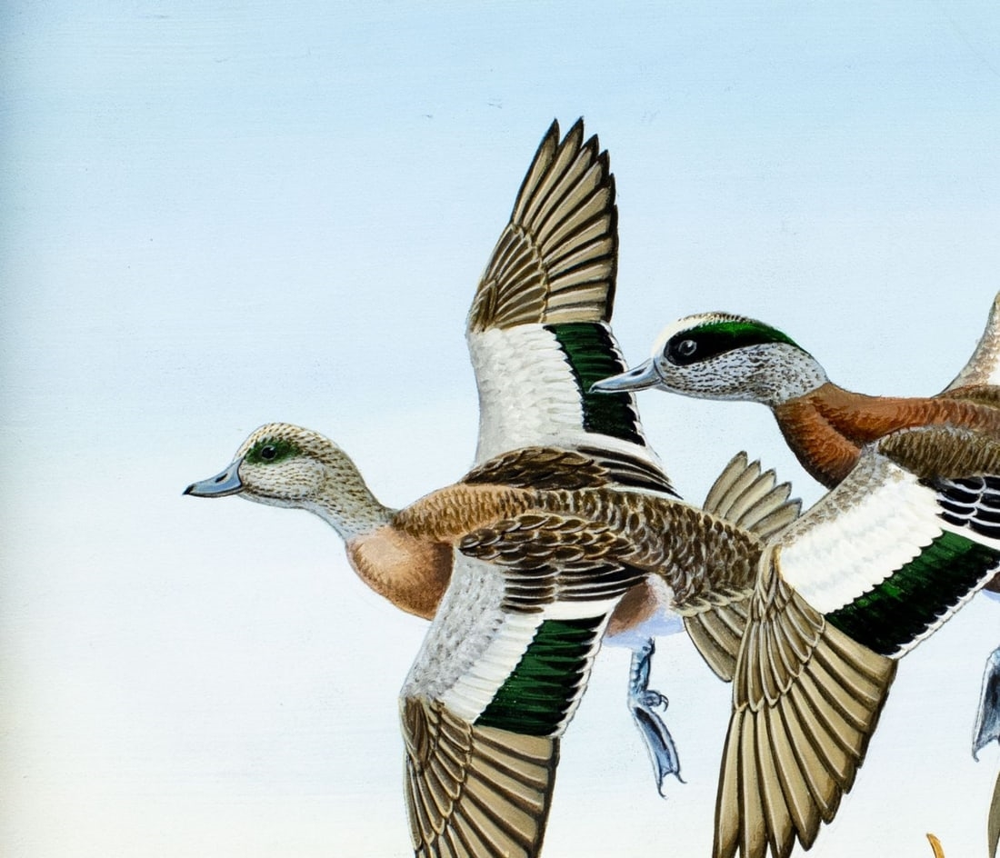 Carl Knuth | Flying Widgeons Ducks | MutualArt