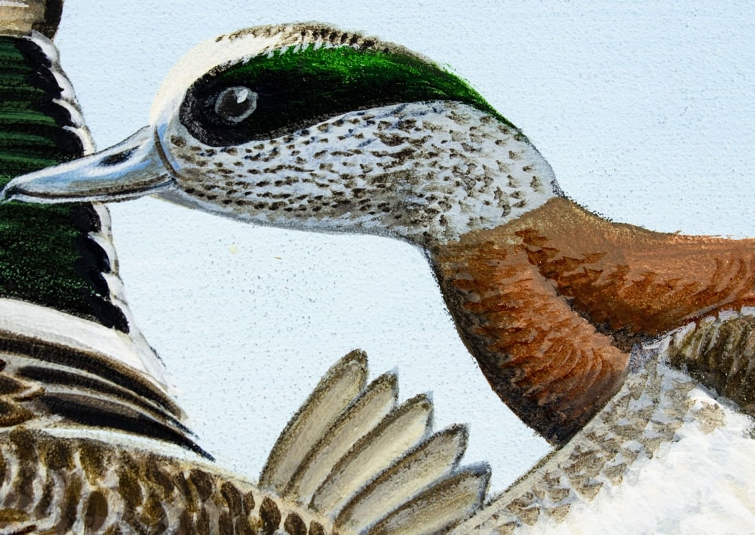 Carl Knuth | Flying Widgeons Ducks | MutualArt