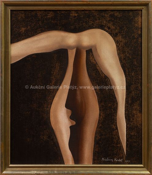 Pod křídly by Kristian Kodet