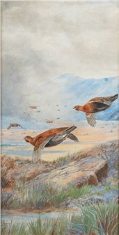 Sporting scenes with hunting dogs, pheasants, grouse and ducks -
Five watercolours - Frederick George Pasmore