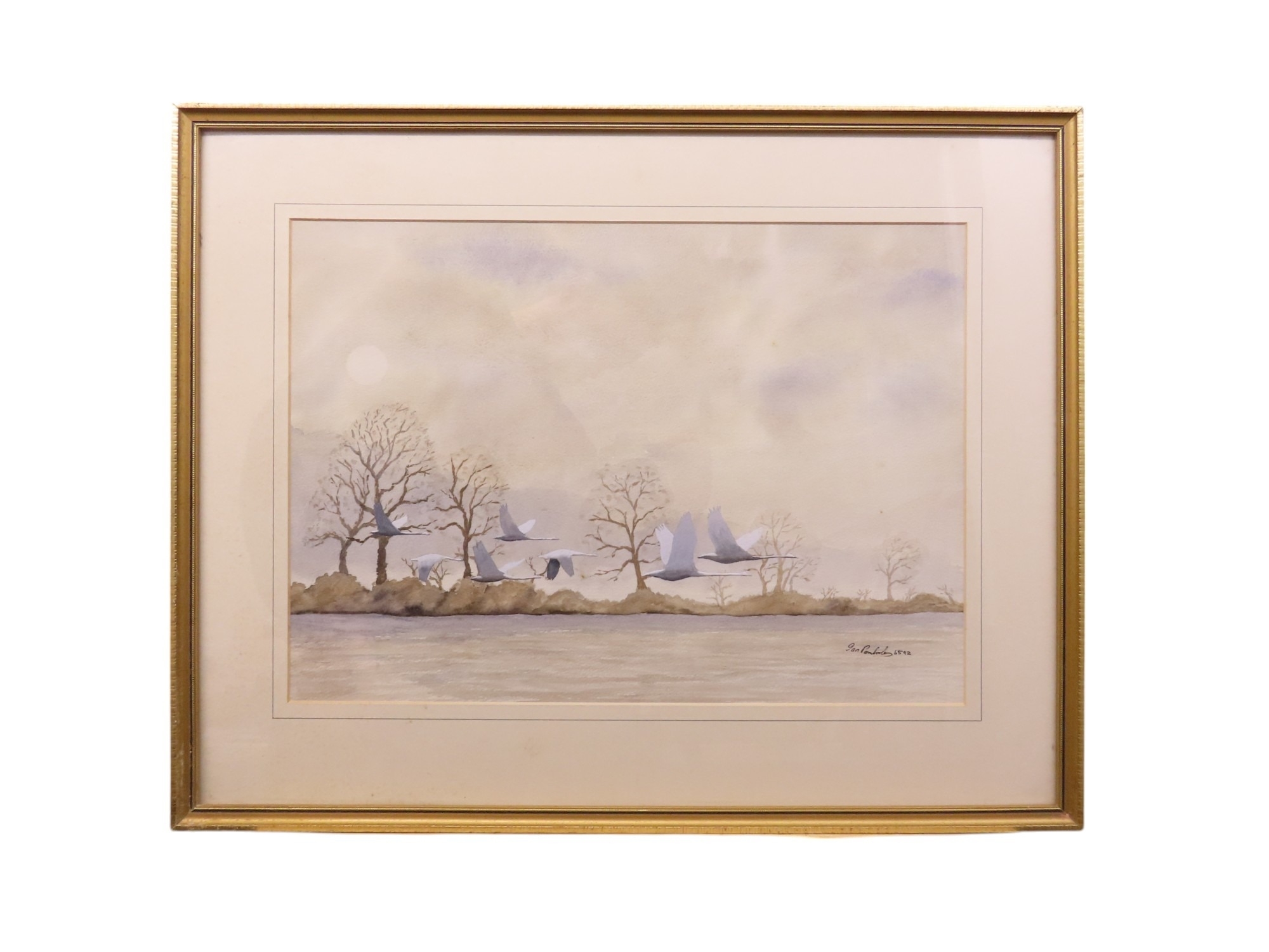 Artwork by Ian Pembroke, Ian Pembroke: Flying birds over a river with trees beyond, Made of watercolour