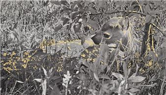 SeMA Omnibus: Fantasia of the Archives - Art Archives (SeMA)