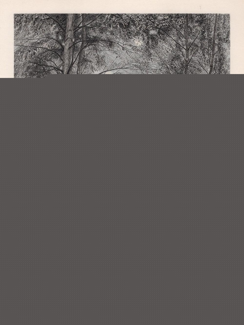 Ernest Parton | SIGNED 1800s Ernest PARTON Engraving Landscape with ...