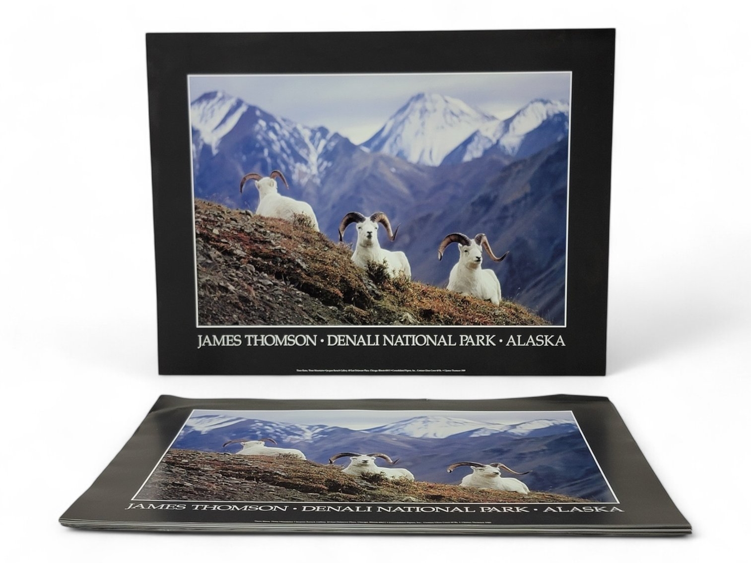 James Thomson | Three Rams, Three Mountains | MutualArt