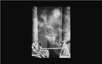 The Serralves Museum Presents The Largest Monographic Exhibition by Francisco Tropa