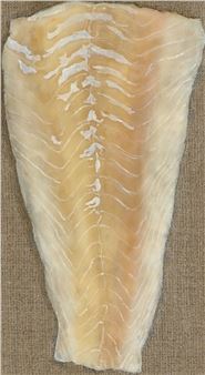 Seelachs - Helene Appel