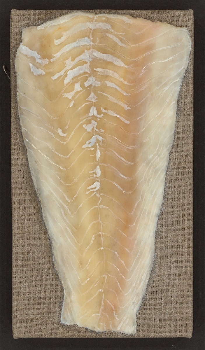 Artwork by Helene Appel, Seelachs, Made of Encaustic painting and oil on linen