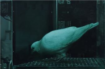 Mirror/Mirror - Anant Art Gallery