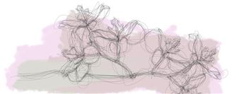 Michel Paysant: See Monet - Musée National de l'Orangerie