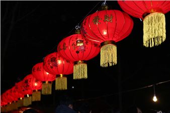 Year of the snake - Museum of Australian Photography (MAPh)