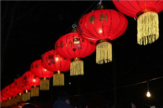 Year of the snake - Museum of Australian Photography (MAPh)