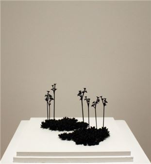 Tania Kitchell: Facing North - James Harris Gallery