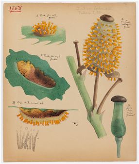 Julien Lignier (1872-1932): Watercolors - Victoria Munroe Fine Art