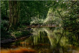 At Water’s Edge: Reflections on 200 Years of the Erie Canal - Everson Museum of Art