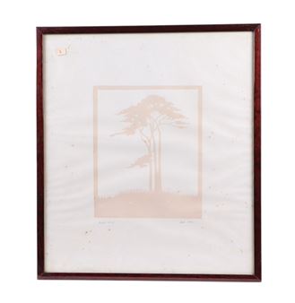 Scots Pine - Amanda Stiby