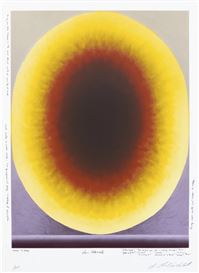 Loie Hollowell (American, 1983)