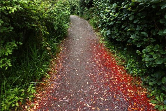 Main report / first part of the Festival of the Invisible City of SMCA - MOMus Modern