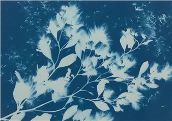 Engaging the Elements: Air, Fire, Water, Earth - Baltimore Museum of Art