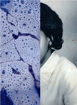 Kara Springer: One Another - Fotomuseum Winterthur