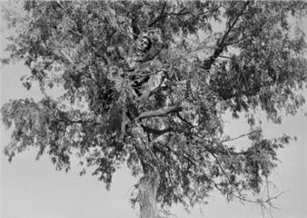 Prix Pictet: Human - Gallery of Photography