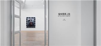 Yan Cong: Kitties need company - Star Gallery
