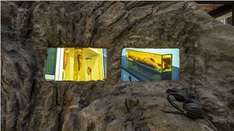Diana Policarpo: Ciguatera - Centro de Arte Moderna Gulbenkian (CAM)