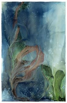 Meghann Riepenhoff: State Shift - Haines Gallery