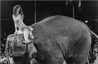 Sweet Toffy - Daniel Lebée