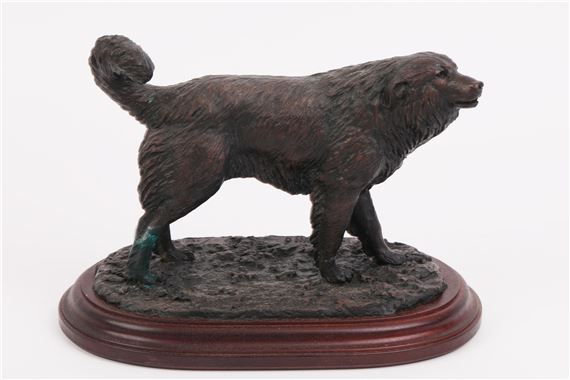 Cão da Serra da Estrela - Luís Valadares